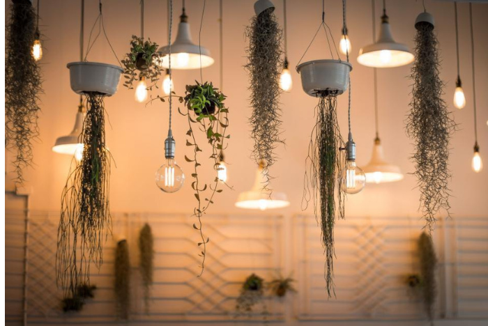 Choosing the Right Bulb