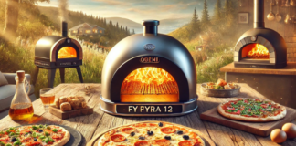 Best Pizza Oven