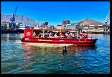 A Guide to the Best Harbor Tours for Sightseeing and Adventure Harbor Tours