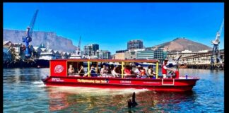 Harbor Tours