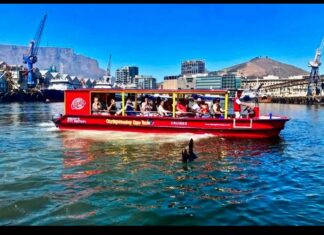A Guide to the Best Harbor Tours for Sightseeing and Adventure Harbor Tours