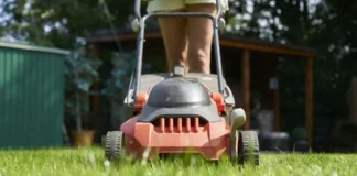 The Role of Lawn Mowing Patterns and Striping for High-End Yard Aesthetics Lawn Mowing Patterns