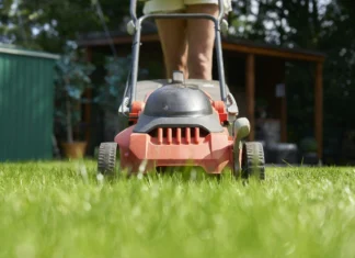 The Role of Lawn Mowing Patterns and Striping for High-End Yard Aesthetics Lawn Mowing Patterns
