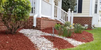 What is the Best Type of Mulch for Your Landscaping Project? Best Mulch for Landscaping