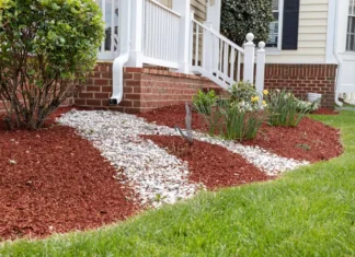 What is the Best Type of Mulch for Your Landscaping Project? Best Mulch for Landscaping