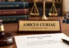 Amicus Curiae Explained: What a Friend of the Court Does in U.S. Cases Amicus Curiae