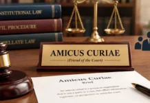 Amicus Curiae Explained: What a Friend of the Court Does in U.S. Cases Amicus Curiae