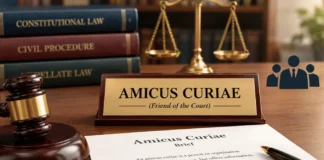 Amicus Curiae